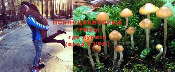 амф Заволжье