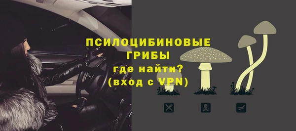 альфа пвп Заволжск