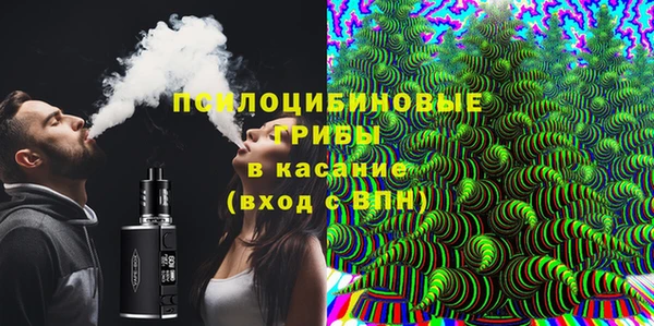 ПСИЛОЦИБИНОВЫЕ ГРИБЫ Ельня