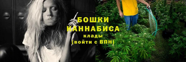 амф Заволжье