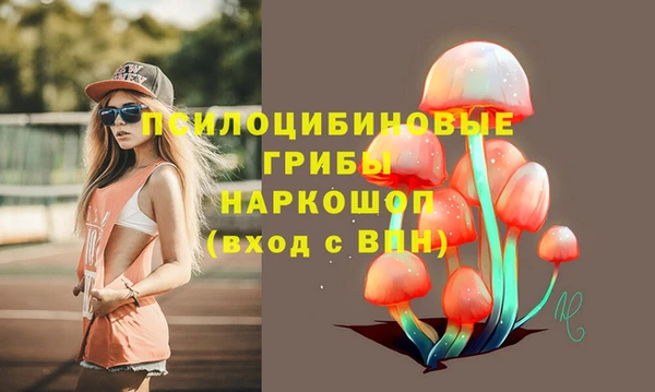 альфа пвп Заволжск